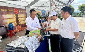 Gia Lai: Tổ chức Phiên chợ nông sản an toàn huyện Chư Păh