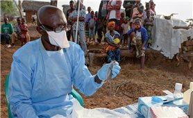 Nigeria: 155 người tử vong vì dịch sốt Lassa