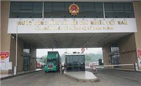 Lào Cai: Tạm dừng hoạt động xuất nhập khẩu qua Cửa khẩu Quốc tế đường bộ số II Kim Thành