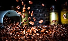 Giá cà phê hôm nay 12/7: Giảm nhẹ trên thị trường thế giới và trong nước