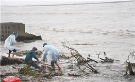 Cà Mau: Đồng bào ven biển thiệt hại nặng do áp thấp nhiệt đới