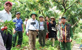 Đoàn đại biểu Người có uy tín tỉnh Kon Tum đi học tập kinh nghiệm tại các tỉnh phía Bắc