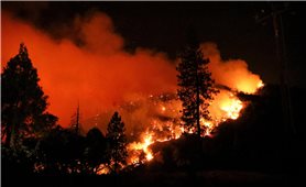 Cháy hàng nghìn ha rừng tại Mỹ và Hi Lạp