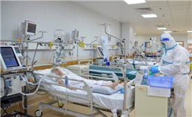 Sáng 29/7: Cả nước còn 31 ca COVID-19 nặng đang điều trị