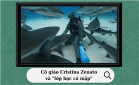 Cristina Zenato và những người bạn cá mập