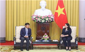 Phó Chủ tịch nước Võ Thị Ánh Xuân tiếp Chủ tịch kiêm Tổng Giám đốc điều hành Tập đoàn AIA Lee Yuan Siong
