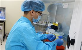 Sáng 6/8: Cả nước có 9.957.655 ca COVID-29 đã khỏi bệnh