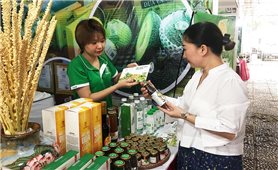 Khai mạc Hội chợ kết nối nông sản thực phẩm an toàn tại Hà Nội