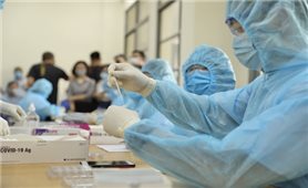 Sáng 17/8: Cả nước có 10.035.040 ca COVID-19 đã được khỏi bệnh