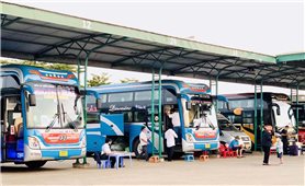 Gia Lai: Doanh nghiệp kinh doanh vận tải hành khách đồng loạt giảm giá cước
