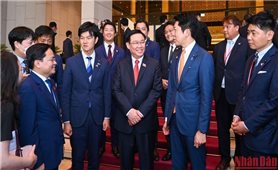 Thế hệ trẻ thúc đẩy quan hệ tốt đẹp Việt Nam-Nhật Bản