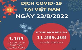 Ngày 23/8: Việt Nam có 3.195 ca mắc COVID-19 và 9.367 ca khỏi bệnh