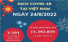 Ngày 24/8: Việt Nam có 3.591 ca mắc COVID-19 và 14.132 ca khỏi bệnh
