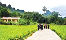 Tập huấn kiến thức dân tộc cho giảng viên, báo cáo viên tại tỉnh Hà Giang