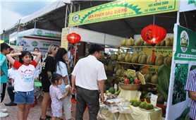 200 gian hàng các sản phẩm OCOP tại Lễ hội sầu riêng Krông Pắc