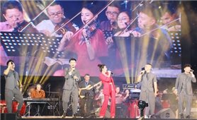 Thị trường âm nhạc Việt Nam: Bao giờ mới hết cảnh “tất tả” chạy show?