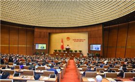 Hoàn thiện các dự án Luật trình Quốc hội tại Kỳ họp thứ 4, Quốc hội khóa XV