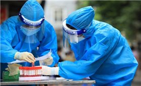 Sáng 13/9: Cả nước có 10.337.137 ca COVID-19 đã khỏi bệnh