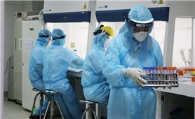 Sáng 14/9: Cả nước còn 190 ca COVID-19 nặng đang điều trị