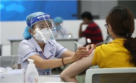 Sáng 16/9: Cả nước còn 184 ca COVID-19 nặng đang điều trị
