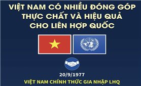 Việt Nam có nhiều đóng góp thực chất và hiệu quả cho Liên hợp quốc
