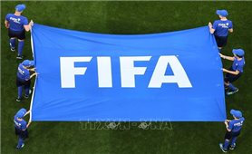 FIFA phát triển ứng dụng đánh giá hiệu suất của cầu thủ