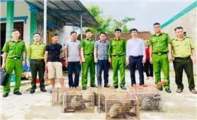Hà Tĩnh: Phát hiện, tịch thu 9 con cầy vòi hương bị nuôi nhốt trái phép