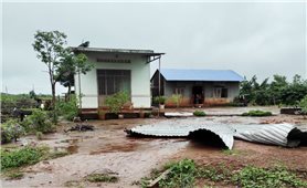 Bão số 4 tại Gia Lai: Di dời 376 hộ dân tại các vị trí có nguy cơ cao ngập lụt, lũ quét đến nơi an toàn