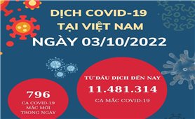 Ngày 3/10: Việt Nam có gần 800 ca mắc mới COVID-19