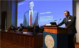 Giải Nobel Y Sinh năm 2022: Vinh danh nhà khoa học Svante Paabo
