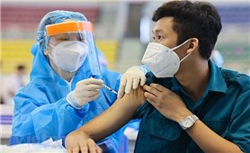 Sáng 3/4: Cả nước có 10.592.911 ca COVID-19 đã được công bó khỏi bệnh