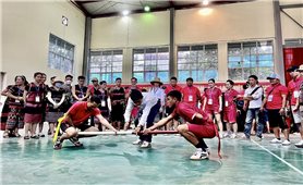 Ngày hội giao lưu văn hóa Việt Nam - Lào: Sôi nổi các hoạt động thể thao