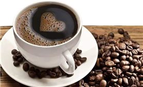 Giá cà phê hôm nay 10/10: Dao động khoảng 46.400 - 46.800 đồng/kg