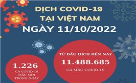 Ngày 11/10: Việt Nam có 1.226 ca mắc COVID-19 và 627 ca khỏi bệnh