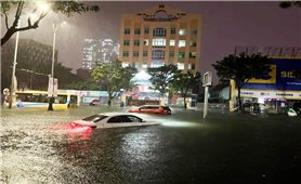 Bão số 5 gây mưa lớn, ngập sâu tại Đà Nẵng