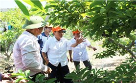 Đoàn đại biểu Người có uy tín trong đồng bào DTTS tỉnh Thanh Hóa đến tham quan, học tập kinh nghiệm tại tỉnh Bắc Giang