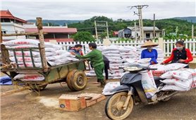 Thái Nguyên: Cải thiện tầm vóc trẻ từ mô hình nông nghiệp bảo đảm dinh dưỡng