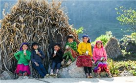 15 năm nhìn lại: Quỹ sữa Vươn cao Việt Nam và hành trình không thể quên