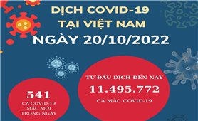 Ngày 20/10: Cả nước có 541 ca mắc COVID-19 và 299 ca khỏi bệnh