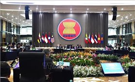 Việt Nam nhấn mạnh tầm quan trọng của việc duy trì tính toàn vẹn của ASEAN