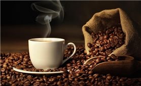 Giá cà phê hôm nay 10/11: Tiếp tục giảm sâu