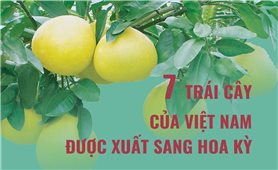 7 trái cây của Việt Nam được xuất sang Hoa Kỳ