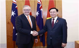 Tạo động lực để quan hệ Việt Nam, Australia phát triển mạnh mẽ và toàn diện