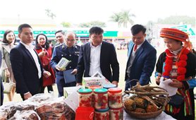 Thái Nguyên: Chương trình kích cầu tiêu dùng nội địa gắn với cuộc vận động Người Việt Nam ưu tiên dùng hàng Việt Nam năm 2022