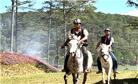 Lâm Đồng: Huyện Lạc Dương Tổ chức Giải đua ngựa không yên dành cho thanh niên DTTS lần thứ I