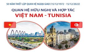 Quan hệ hữu nghị và hợp tác Việt Nam - Tunisia