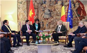 Đề nghị Nghị viện Bỉ sớm hoàn tất phê chuẩn Hiệp định bảo hộ đầu tư Việt Nam-EU