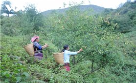 Sơn La: Làm thay đổi nếp nghĩ để không ai bị bỏ lại phía sau