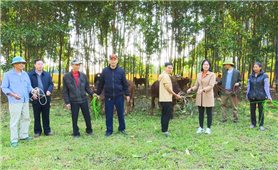 Định Hóa (Thái Nguyên): Bàn giao bò sinh sản cho 26 hộ nghèo