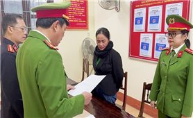 Quảng Bình: Khởi tố nữ Giám đốc công ty có hành vi trốn thuế